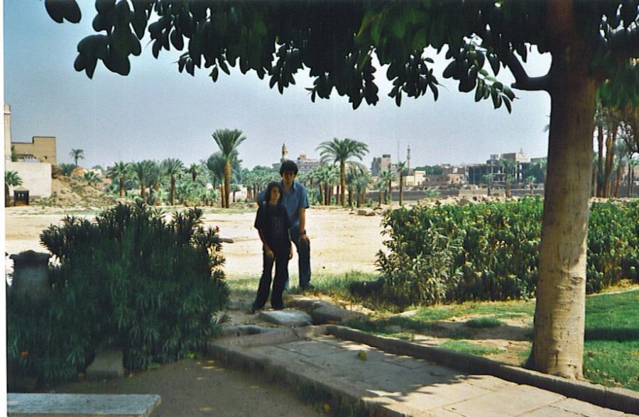 eg11a.jpg